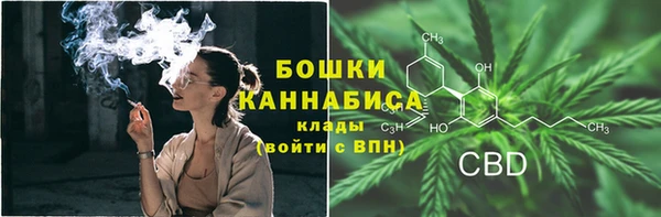 спиды Вяземский