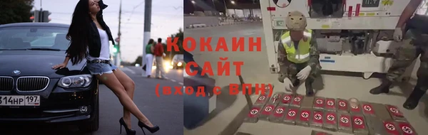 спиды Вяземский