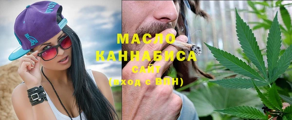 спиды Вяземский
